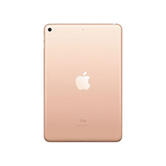 iPad 2017 5th Gen